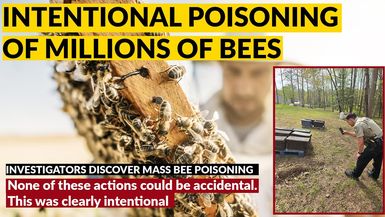 AMT362-MILLIONS OF BEES POISONED "None of these actions could be accidental. THIS WAS CLEARLY INTENTIONAL" - As A Man Thinketh