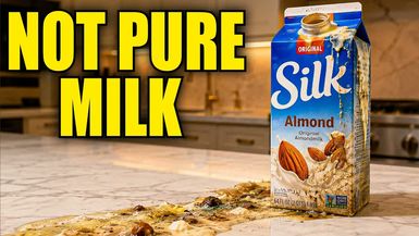 CE24-AVOID These 7 Plant-Based Milk Brands 3 That Are Actually Worth Buying - Consumer Exposed