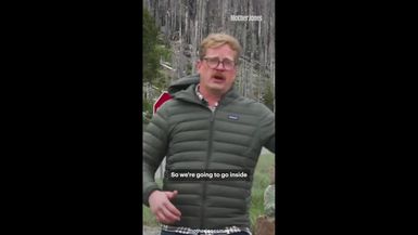 US Forest Service Spraying Glyphosphate