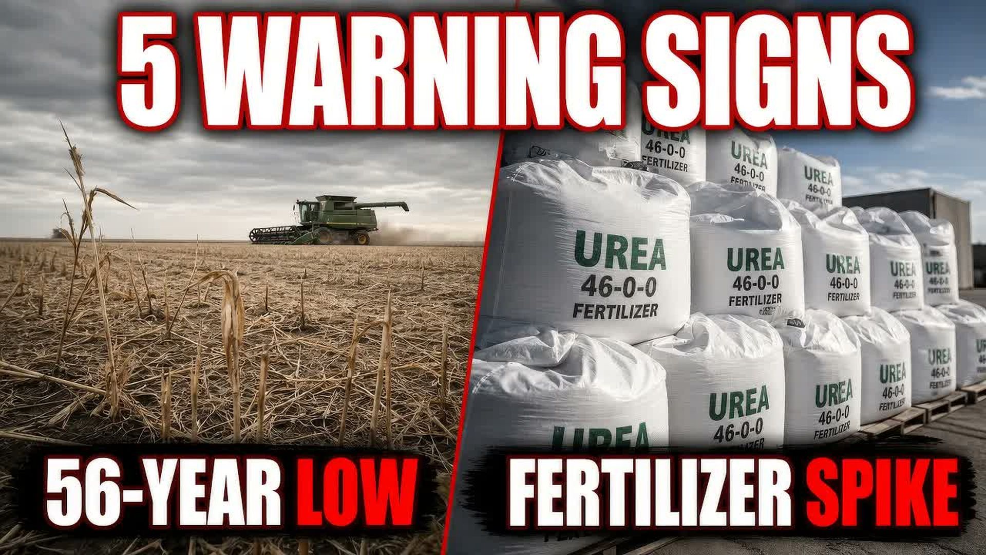 AMT516-5 WARNING SIGNS OF A GLOBAL FOOD CRISIS Is a global food supply shock quietly forming - As A Man Thinketh - Yanasa TV