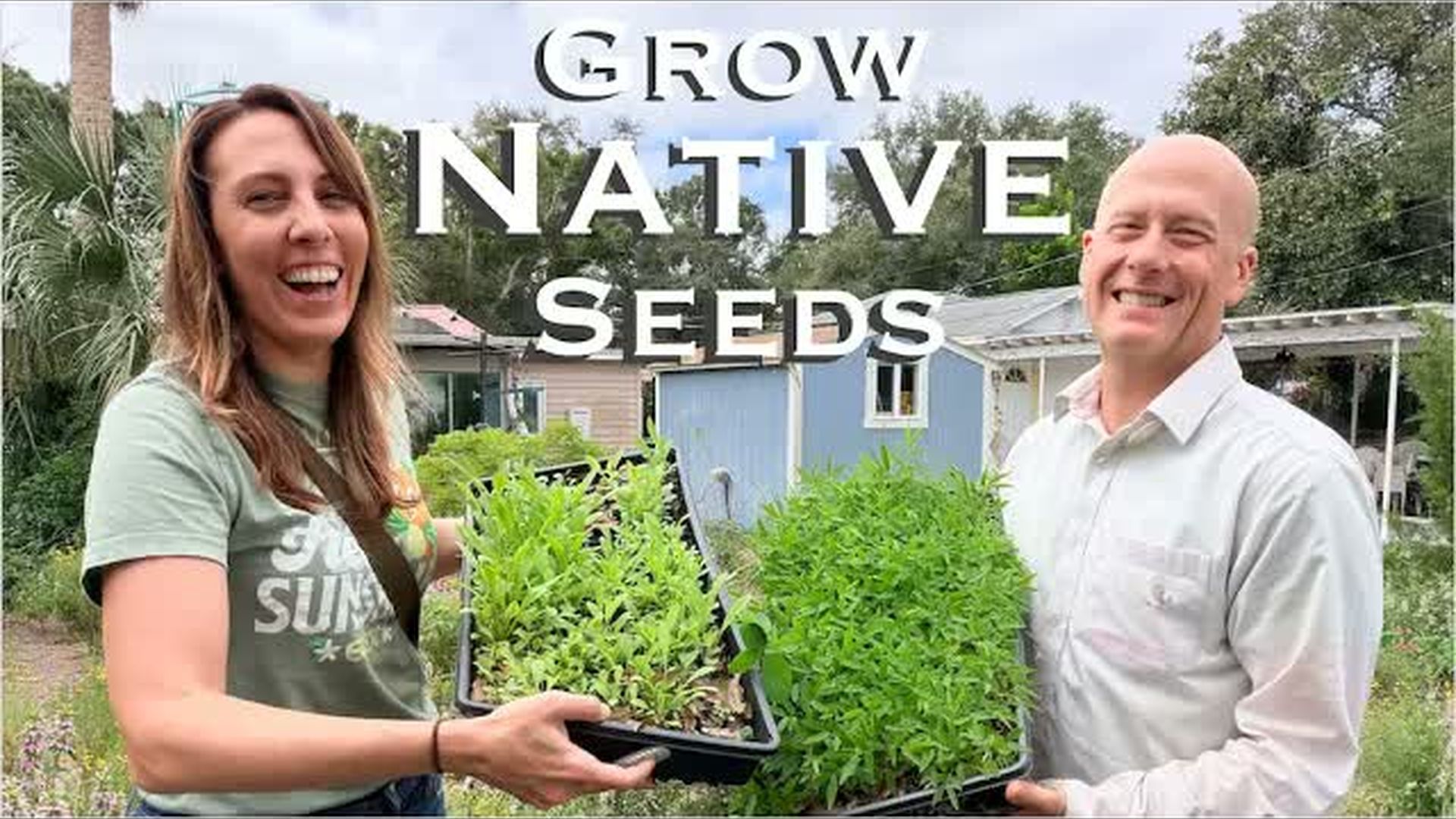 WF8-How to Start Florida Native Plants From Seed What Actually Works - Wild Floridian