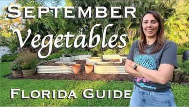 1-What to Plant in September in Florida Vegetable Garden Guide - Wild Floridian