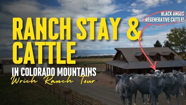 COF17-Cattle Ranch House Stay 100% Regenerative - Check Out The Farms!