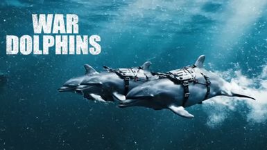 FH98-The U.S. Navy s Secret Dolphin Program - Forgotten History