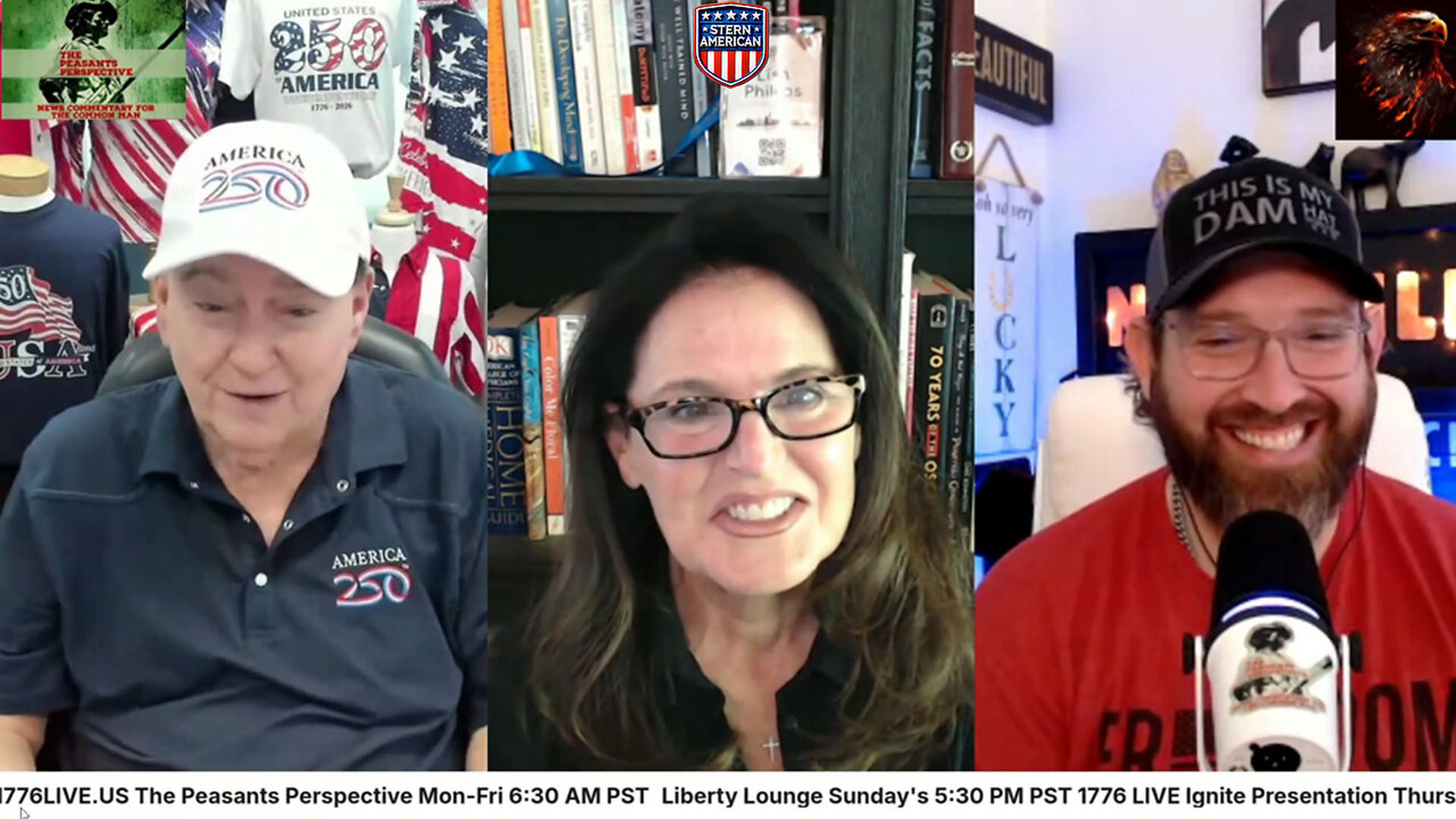 SAE17-LIVE with Steve Stern - Election Integrity Project - Stern American - Election Integrity