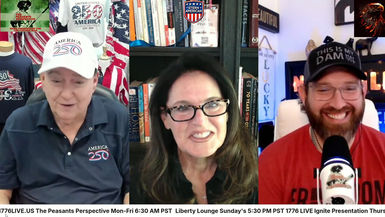 SAE17-LIVE with Steve Stern - Election Integrity Project - Stern American - Election Integrity