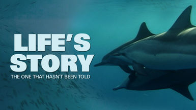 Life's Story