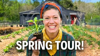 AAT5-The Lazy Garden is BACK FULL Spring Garden Tour 2026 - Anne of All Trades