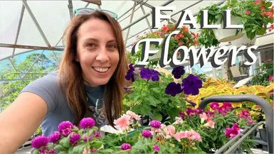 WF9-What Flowers I m Planting This Fall in Florida - Wild Floridian