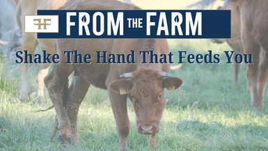 FTF7 - From Pasture to Checkout Who’s Taking the Money - From The Farm