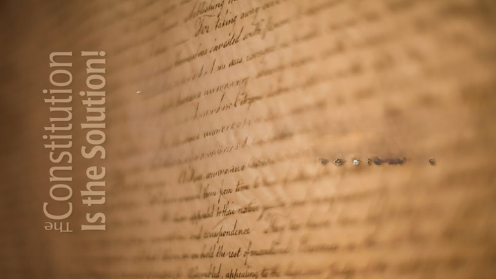 The Constitution is The Solution