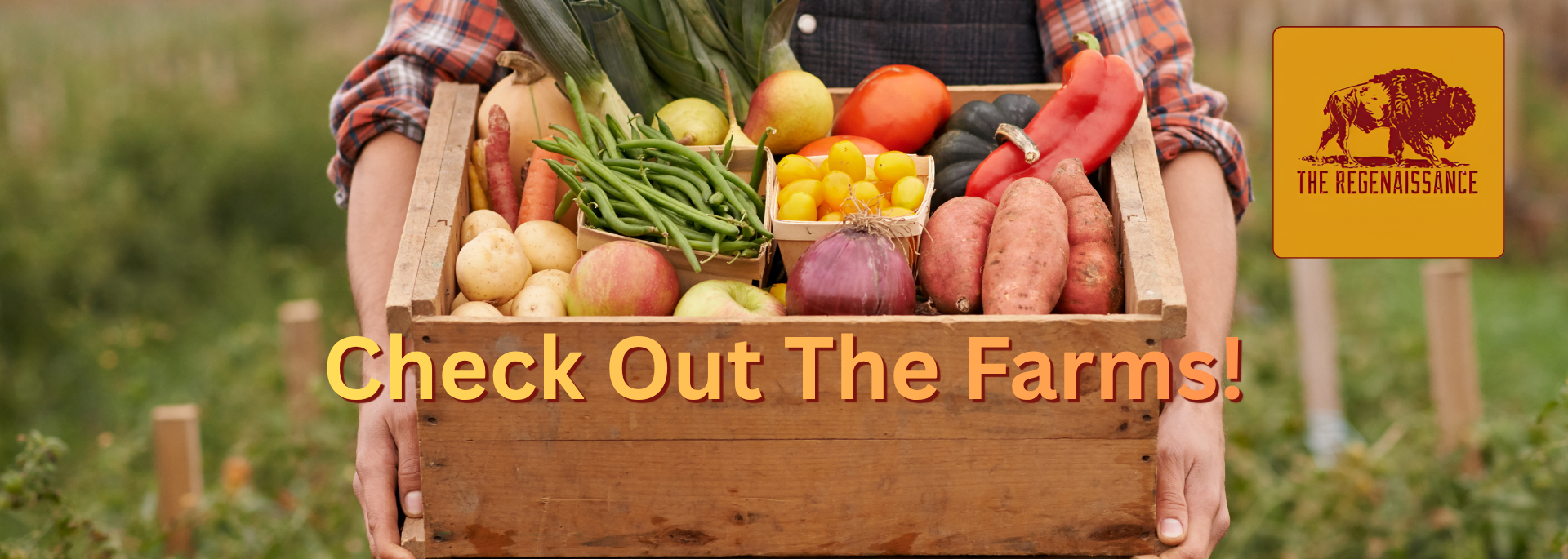 Check Out The Farms!