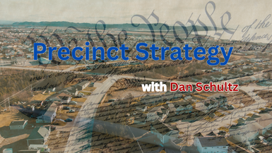 Precinct Strategy with Dan Schultz